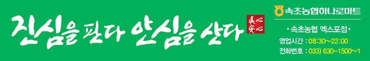 속초농협 하나로마트 엑스포점